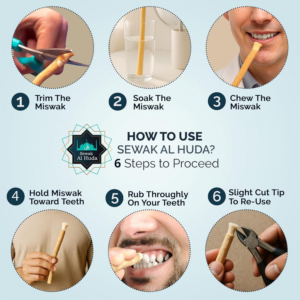 12 Pcs Miswak Sticks with Holder - Vacuum Sealed Chewing Miswak Sticks for Teeth - Natural Flavored Toothbrush for Teeth Whitening, Oral Health, and Fresh Breath || Pack of 12