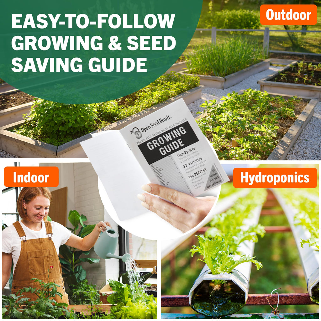 Vegetable & Fruit Seeds, 32 Packs, Non-GMO, 15,000+ Seeds