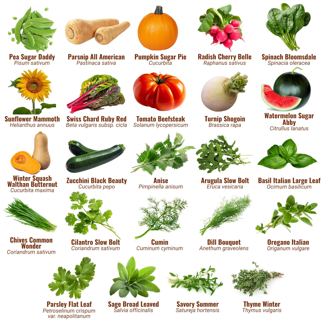 Vegetable & Fruit Seeds, 32 Packs, Non-GMO, 15,000+ Seeds